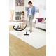 Пылесос с аквафильтром Karcher DS 6 Plus (1.195-252.0)