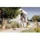 Господарський пилосос Karcher WD 5 V-25/5/22 (1.628-300.0) Господарський пилосос Karcher WD 5 V-25/5/22 (1.628-300.0)