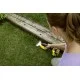 Аккумуляторные ножницы Karcher GSH 18-20 Battery (1.444-200.0)